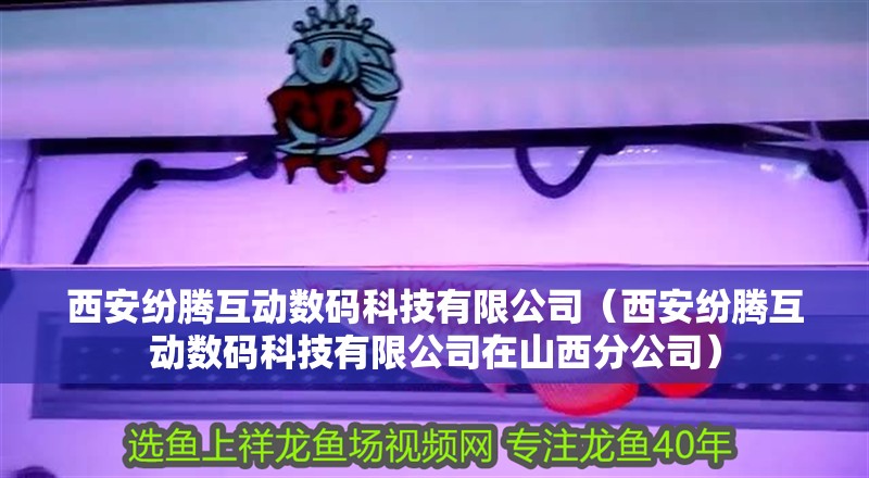 西安紛騰互動數碼科技有限公司（西安紛騰互動數碼科技有限公司在山西分公司）