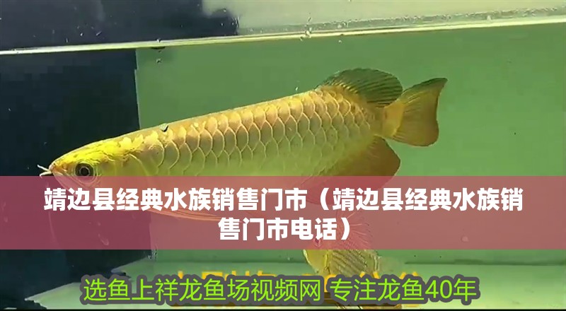 靖邊縣經(jīng)典水族銷售門市（靖邊縣經(jīng)典水族銷售門市電話）