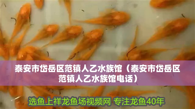 泰安市岱岳區(qū)范鎮(zhèn)人乙水族館（泰安市岱岳區(qū)范鎮(zhèn)人乙水族館電話）