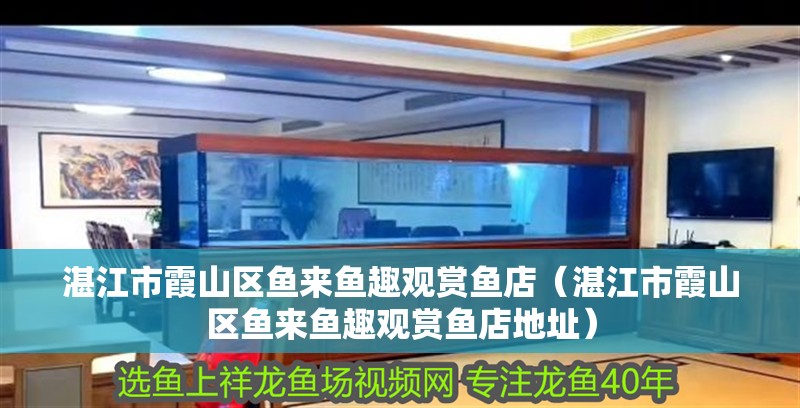 湛江市霞山區(qū)魚來(lái)魚趣觀賞魚店（湛江市霞山區(qū)魚來(lái)魚趣觀賞魚店地址）