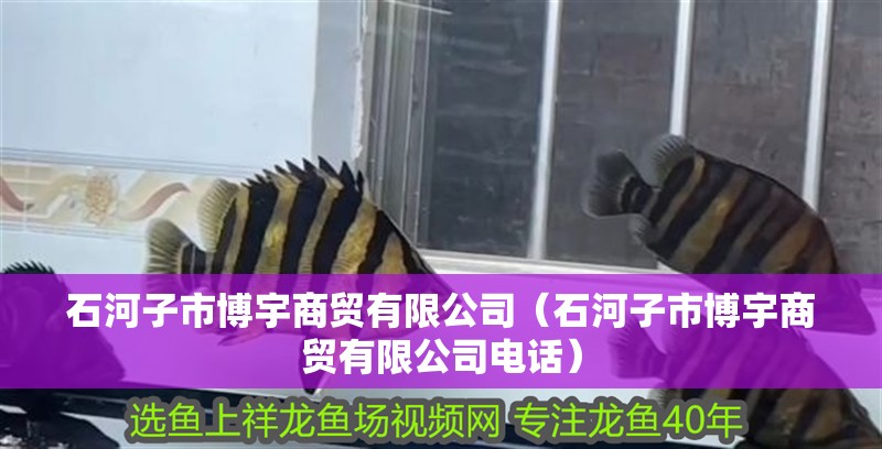 石河子市博宇商貿有限公司（石河子市博宇商貿有限公司電話）