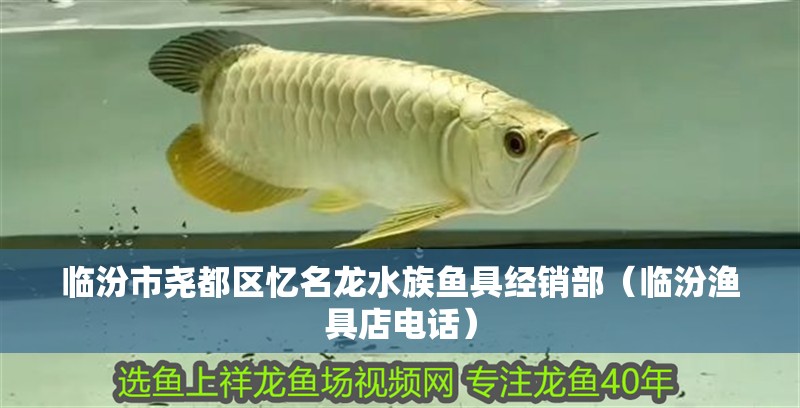 臨汾市堯都區(qū)憶名龍水族魚(yú)具經(jīng)銷(xiāo)部（臨汾漁具店電話）