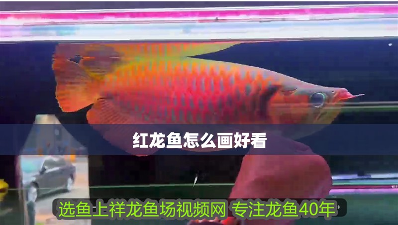 紅龍魚(yú)怎么畫好看
