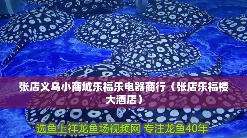 張店義烏小商城樂福樂電器商行（張店樂福樓大酒店）