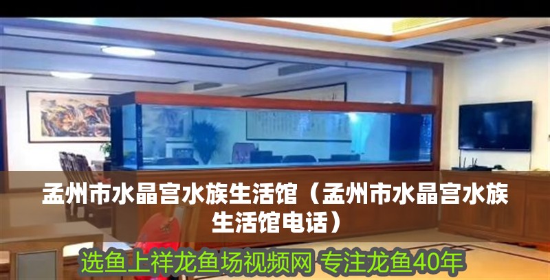 孟州市水晶宮水族生活館（孟州市水晶宮水族生活館電話）