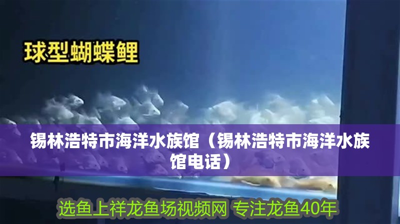 錫林浩特市海洋水族館（錫林浩特市海洋水族館電話）