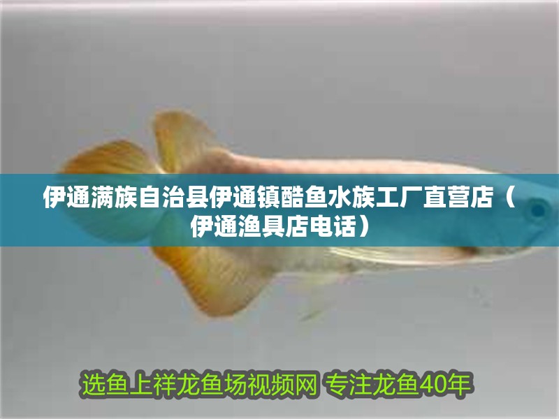 伊通滿族自治縣伊通鎮(zhèn)酷魚水族工廠直營店（伊通漁具店電話）