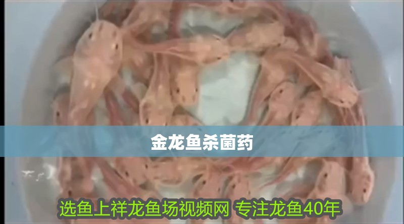 金龍魚殺菌藥