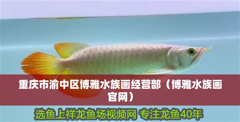 重慶市渝中區(qū)博雅水族畫經(jīng)營部（博雅水族畫官網(wǎng)）