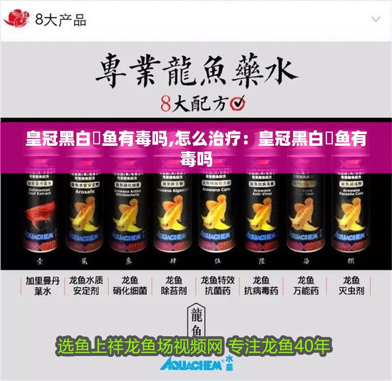 皇冠黑白魟魚有毒嗎,怎么治療：皇冠黑白魟魚有毒嗎