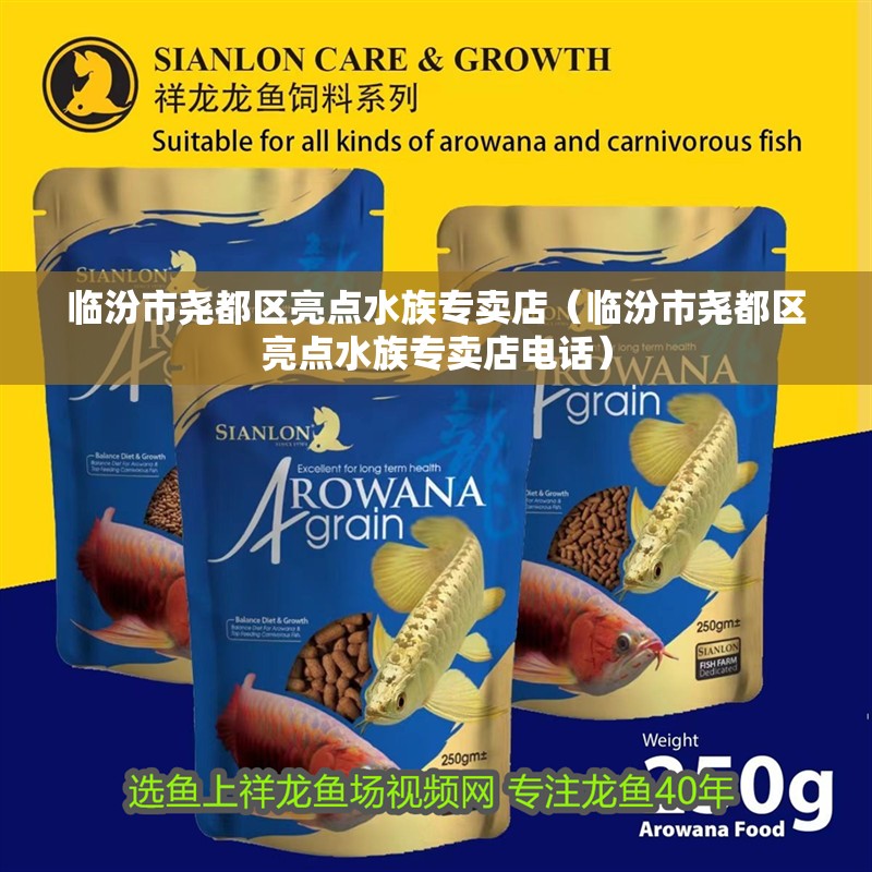 臨汾市堯都區亮點水族專賣店（臨汾市堯都區亮點水族專賣店電話）