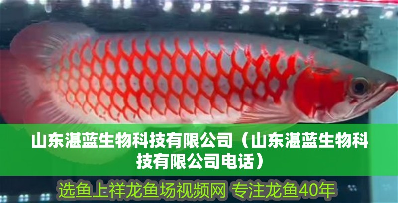山東湛藍生物科技有限公司（山東湛藍生物科技有限公司電話） 山東湛藍生物科技有限公司（山東湛藍生物科技有限公司電話） 全國水族館企業名錄 第2張