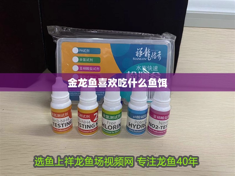 金龍魚喜歡吃什么魚餌