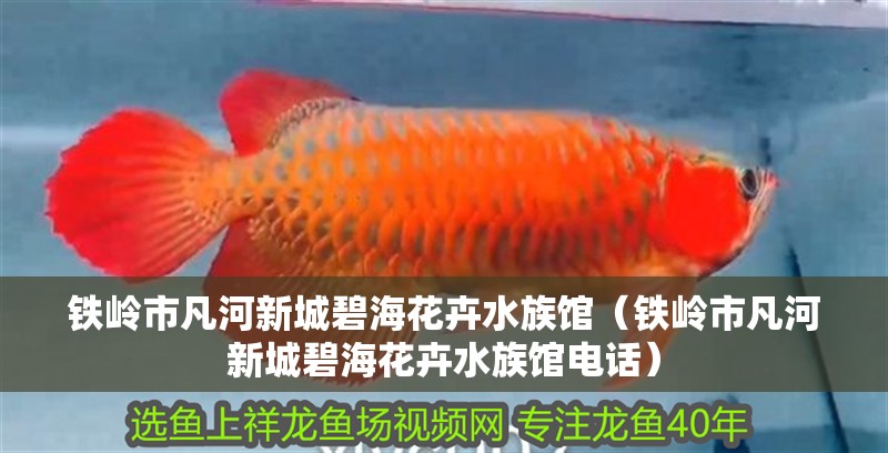 鐵嶺市凡河新城碧海花卉水族館（鐵嶺市凡河新城碧海花卉水族館電話）