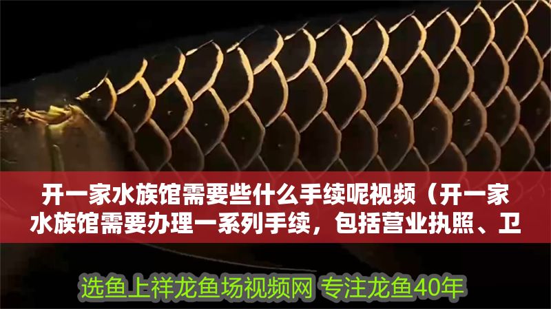 開一家水族館需要些什么手續呢視頻（開一家水族館需要辦理一系列手續，包括營業執照、衛生許可證等）