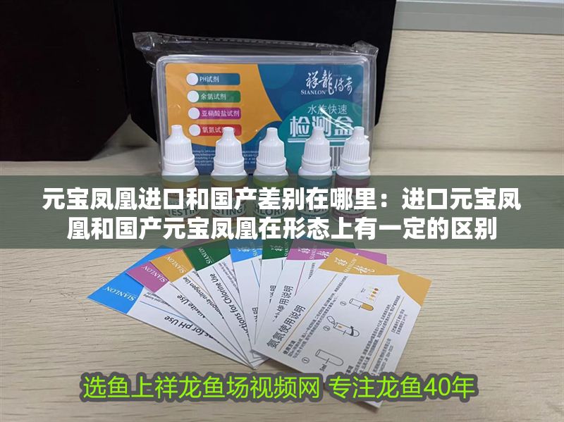 元寶鳳凰進口和國產差別在哪里：進口元寶鳳凰和國產元寶鳳凰在形態上有一定的區別