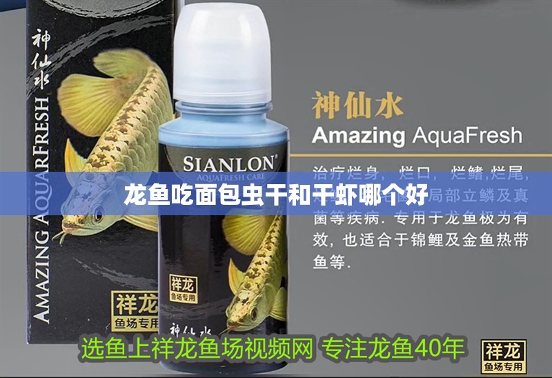 龍魚吃面包蟲干和干蝦哪個好