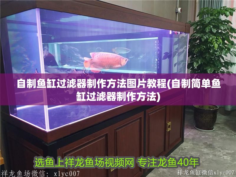 自制魚缸過濾器制作方法圖片教程(自制簡單魚缸過濾器制作方法)