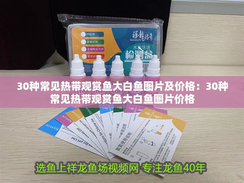 30種常見熱帶觀賞魚大白魚圖片及價格：30種常見熱帶觀賞魚大白魚圖片價格