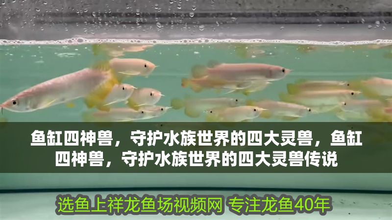魚缸四神獸，守護水族世界的四大靈獸，魚缸四神獸，守護水族世界的四大靈獸傳說