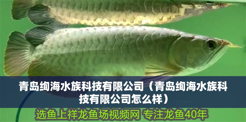 青島絢海水族科技有限公司（青島絢海水族科技有限公司怎么樣）