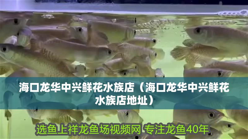 ?？邶埲A中興鮮花水族店（?？邶埲A中興鮮花水族店地址）