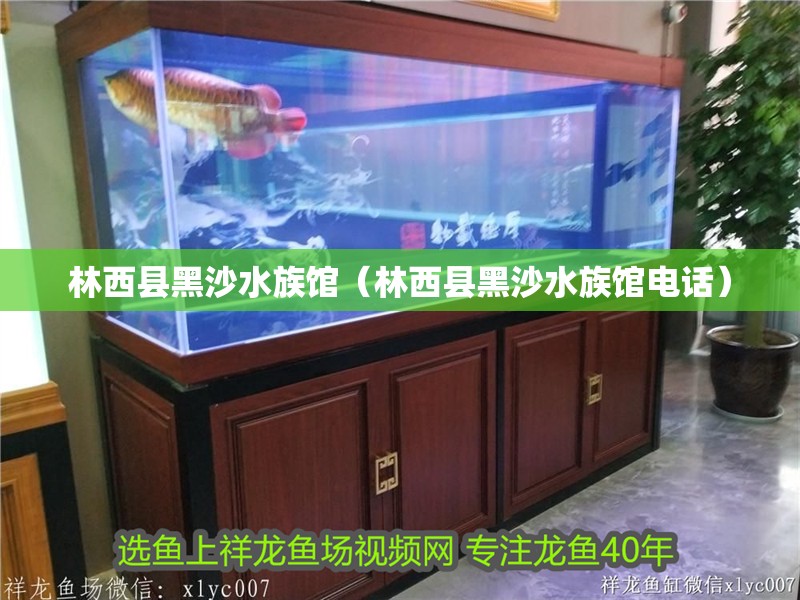 林西縣黑沙水族館（林西縣黑沙水族館電話）