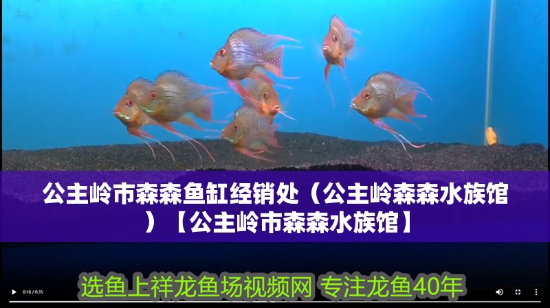 我的虎魚真菌感染了要怎么處理 公主嶺市森森魚缸經(jīng)銷處(公主嶺森森水族館)【公主嶺市森森水族館】 全國水族館企業(yè)名錄 公主嶺市森森魚缸經(jīng)銷處(公主嶺森森水族館)【公主嶺市森森水族館】 公主嶺市森森魚缸經(jīng)銷處(公主嶺森森水族館)【公主嶺市森森水族館】 全國水族館企業(yè)名錄