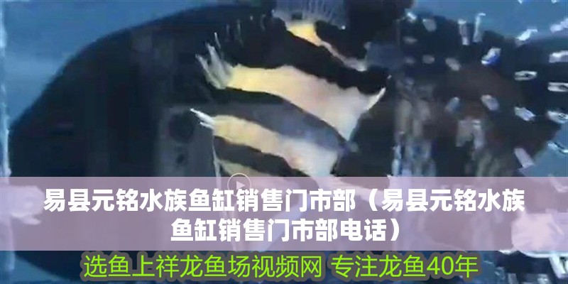易縣元銘水族魚缸銷售門市部（易縣元銘水族魚缸銷售門市部電話）