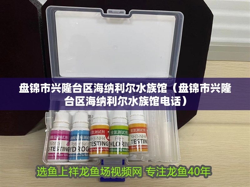 盤錦市興隆臺區海納利爾水族館（盤錦市興隆臺區海納利爾水族館電話）