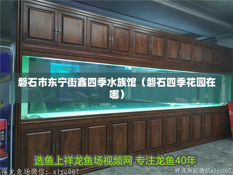 磐石市東寧街鑫四季水族館（磐石四季花園在哪）