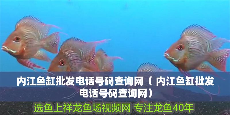 內江魚缸批發(fā)電話號碼查詢網(wǎng)（ 內江魚缸批發(fā)電話號碼查詢網(wǎng)）