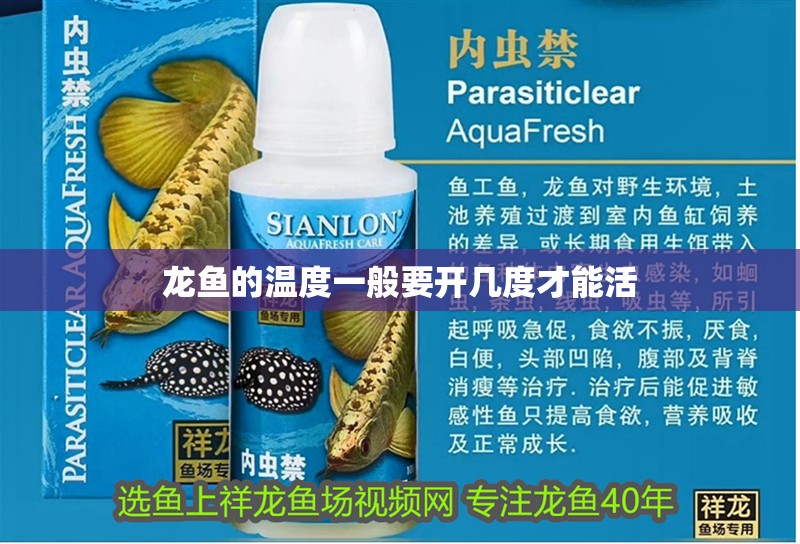 龍魚的溫度一般要開幾度才能活