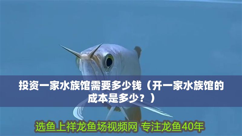 投資一家水族館需要多少錢（開一家水族館的成本是多少？）