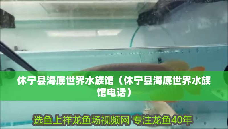 休寧縣海底世界水族館（休寧縣海底世界水族館電話）