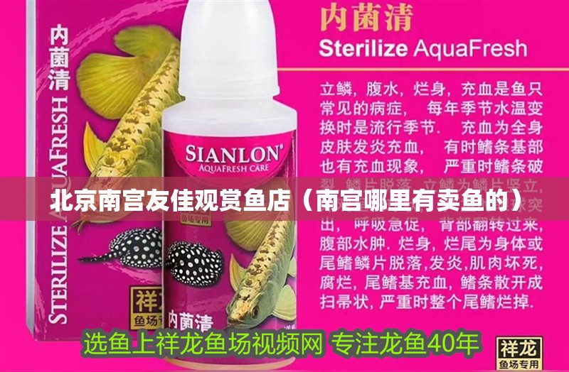 北京南宮友佳觀賞魚店（南宮哪里有賣魚的）