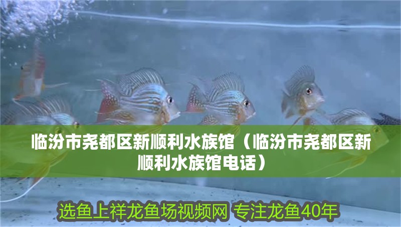 臨汾市堯都區新順利水族館（臨汾市堯都區新順利水族館電話）
