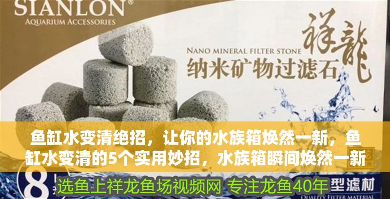 魚缸水變清絕招，讓你的水族箱煥然一新，魚缸水變清的5個實用妙招，水族箱瞬間煥然一新！