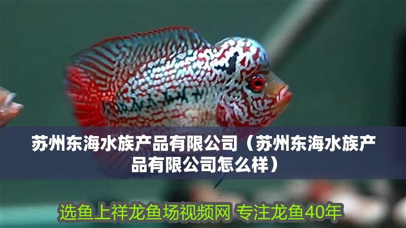 蘇州東海水族產(chǎn)品有限公司（蘇州東海水族產(chǎn)品有限公司怎么樣）