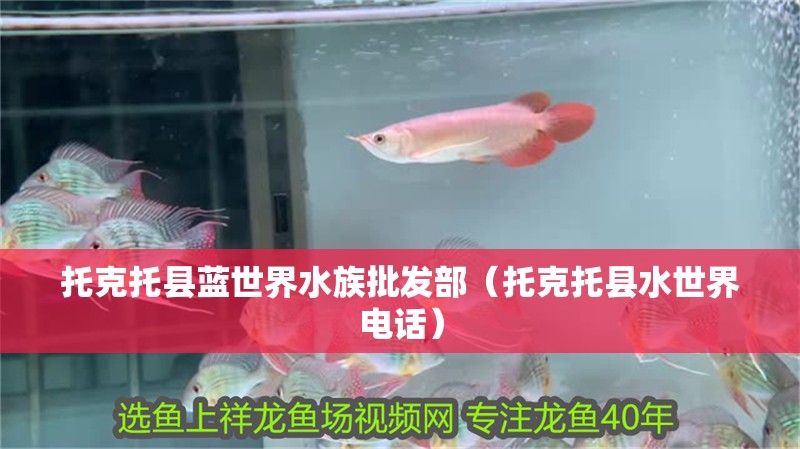 托克托縣藍世界水族批發部（托克托縣水世界電話）