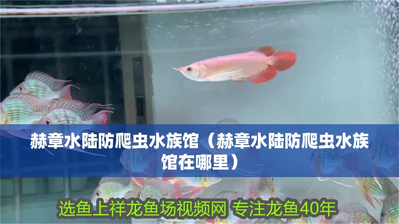 赫章水陸防爬蟲水族館（赫章水陸防爬蟲水族館在哪里）