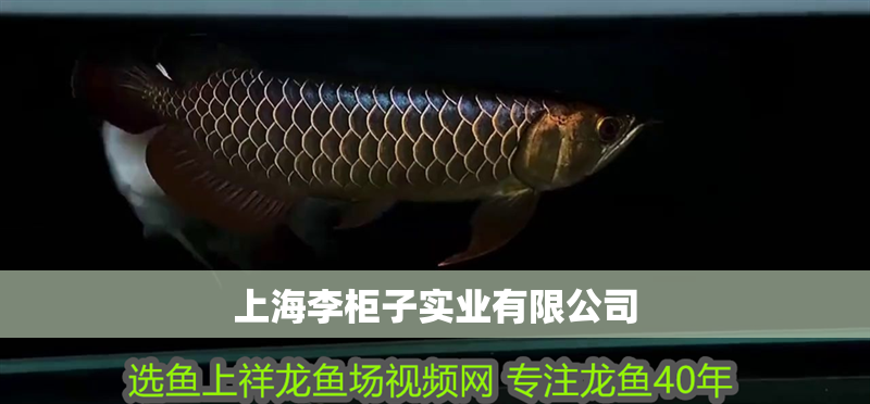 上海李柜子實(shí)業(yè)有限公司