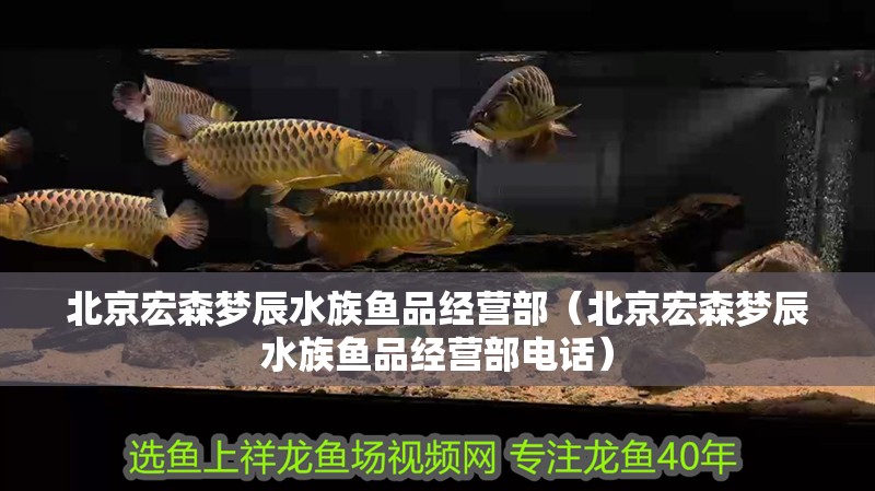 北京宏森夢(mèng)辰水族魚品經(jīng)營(yíng)部（北京宏森夢(mèng)辰水族魚品經(jīng)營(yíng)部電話）