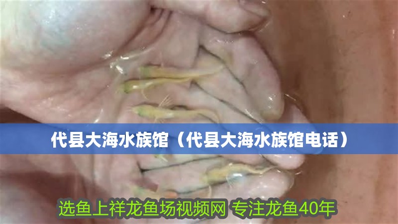 代縣大海水族館（代縣大海水族館電話）