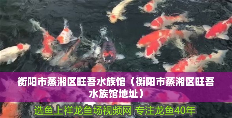 衡陽市蒸湘區旺吾水族館（衡陽市蒸湘區旺吾水族館地址）