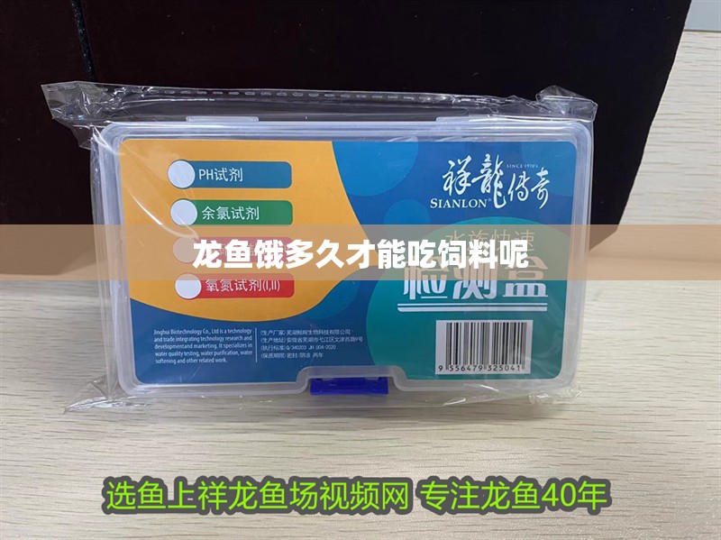 龍魚餓多久才能吃飼料呢