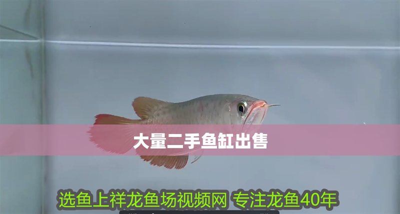 大量二手魚缸出售