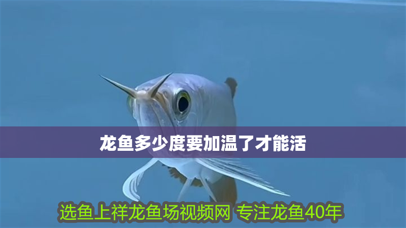 龍魚多少度要加溫了才能活