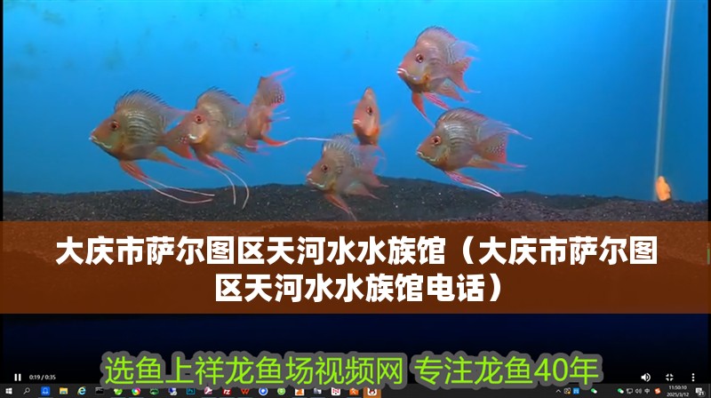 大慶市薩爾圖區天河水水族館（大慶市薩爾圖區天河水水族館電話）