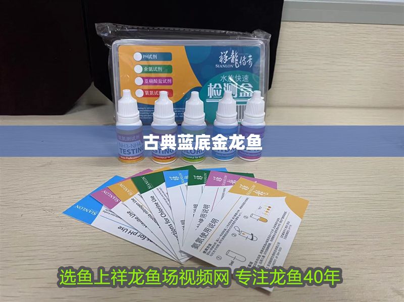 古典藍(lán)底金龍魚